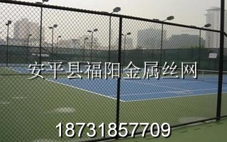 體育場(chǎng)圍網(wǎng)